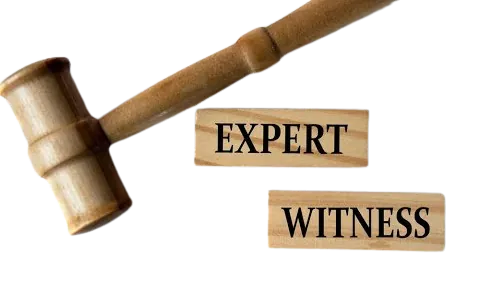 Expert witness services in arboricultural matters