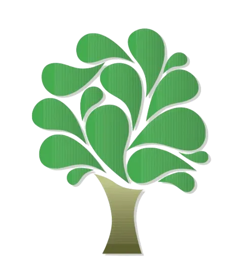 Mature shade tree
